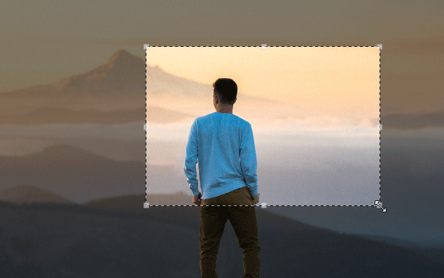crop-image-3