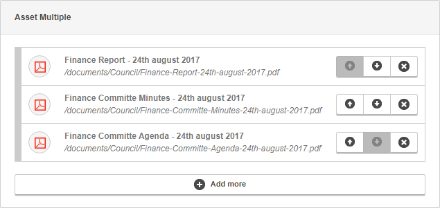field-editor-multiple-asset