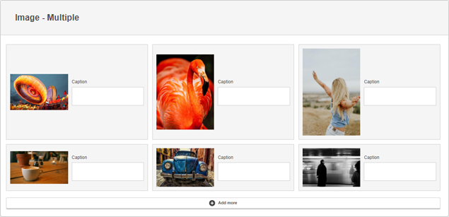 field-editor-multiple-image