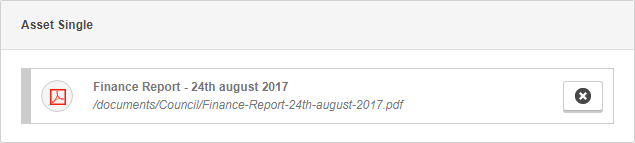 field-editor-single-asset