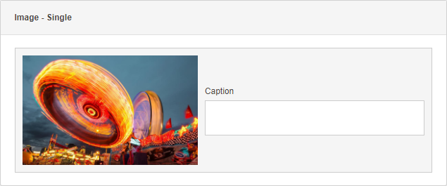 field-editor-single-image