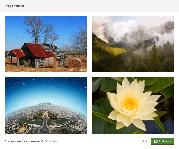 field-editor-image-multiple