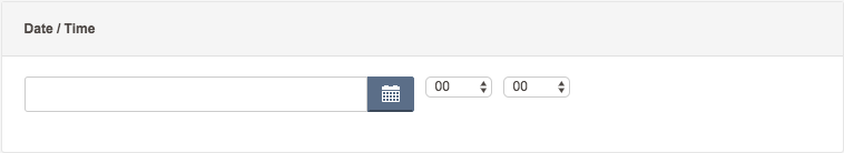 field-editor-date-time