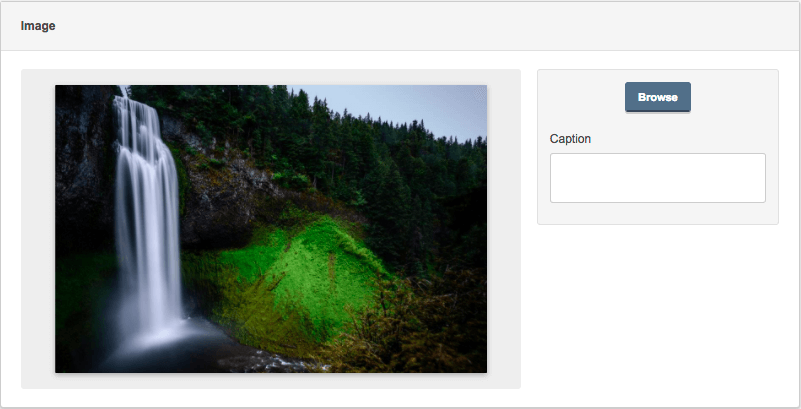 field-editor-single-image
